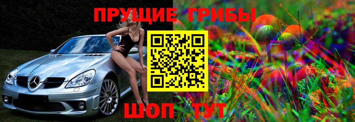 где найти   Галлюциногенные грибы прущие грибы  Вход с VPN  Аргун 